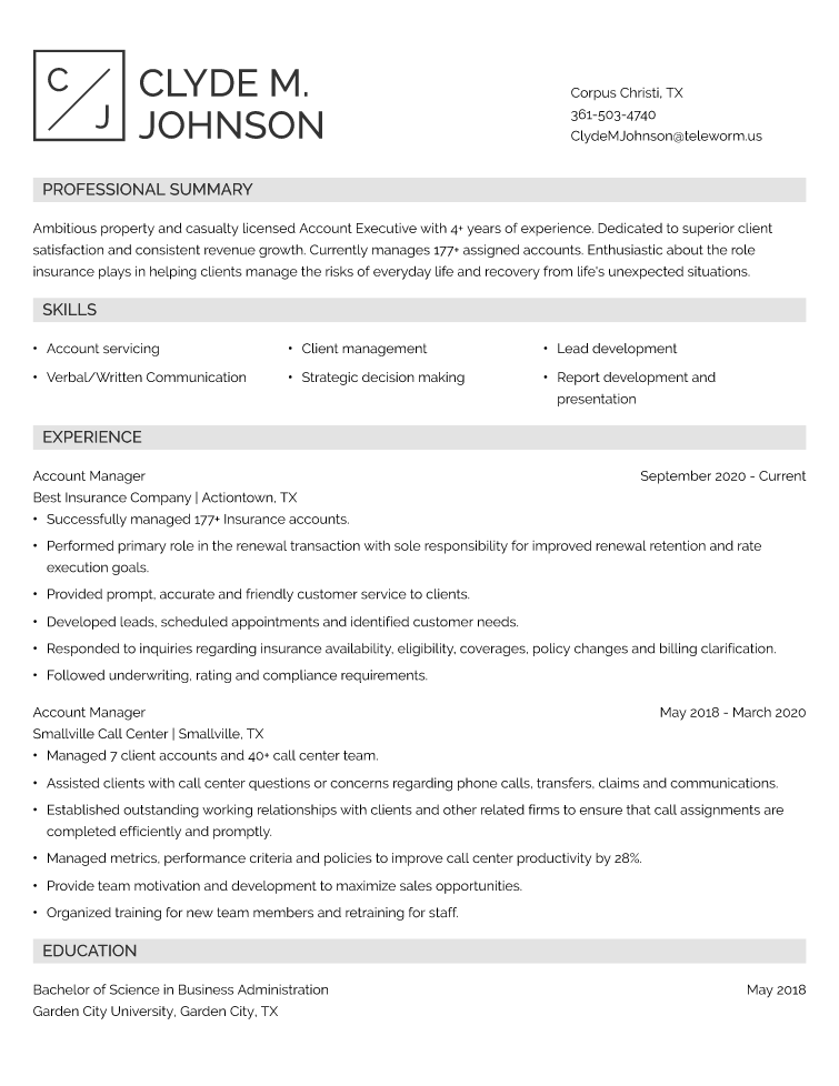 Account Manager Resume Example