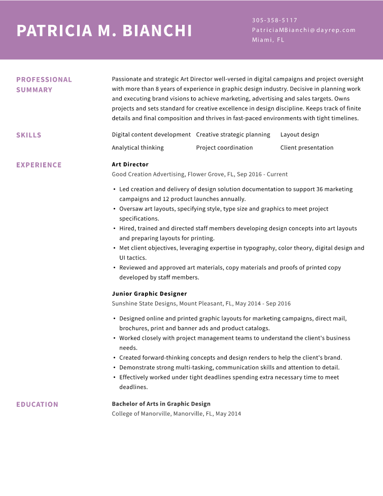 Art Director Resume Example