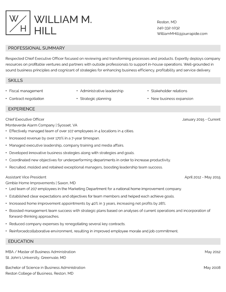 CEO Resume Example