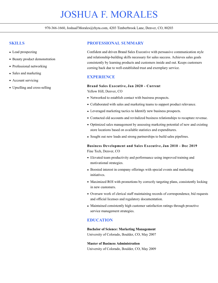 executive resume example