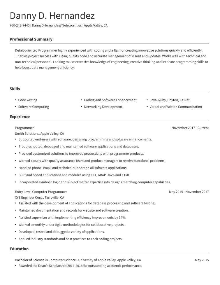 Programmer Resume Example