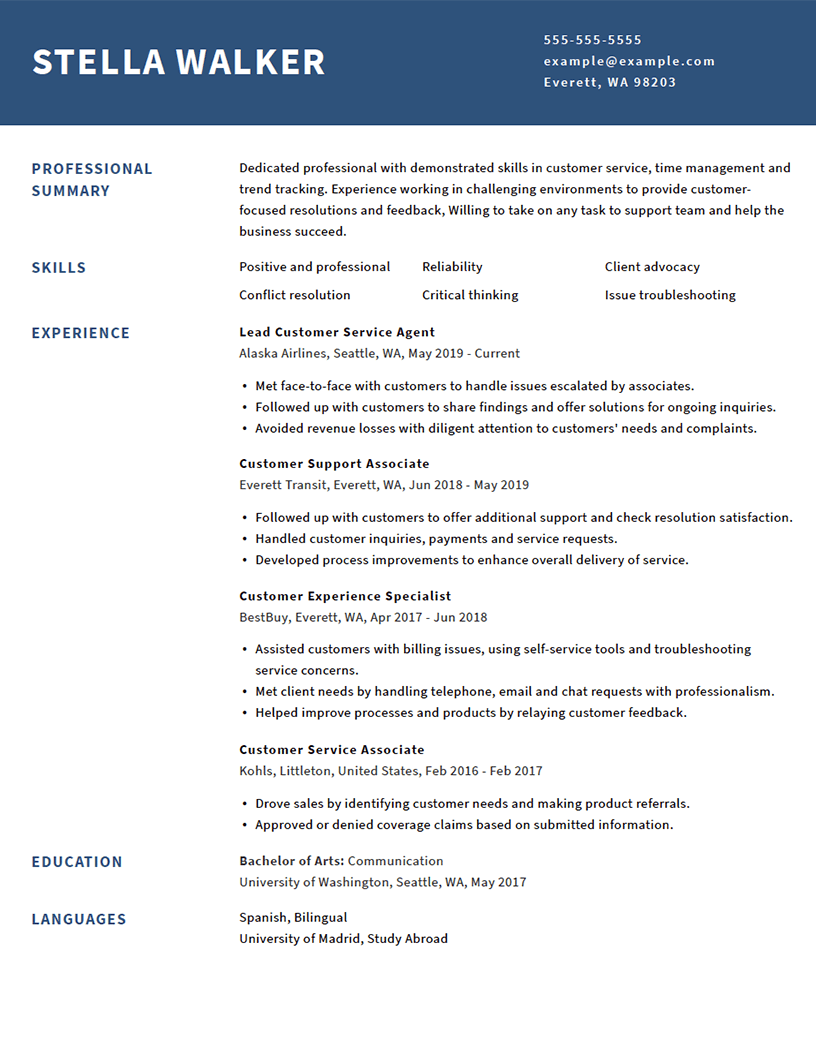 Iconic Resume Template