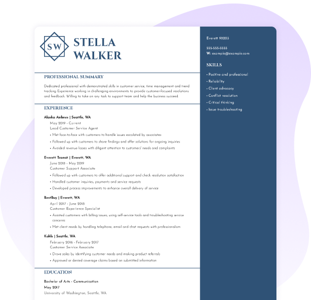 Professional resume template